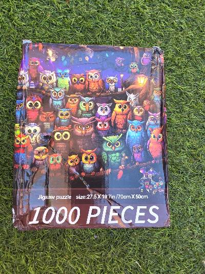 1000 stukjes puzzel met uilen
